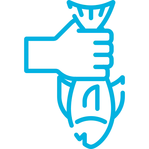 Fischerei-Pächtergemeinschaft Rursee e.V. - Nachhaltige Sportfischerei und Umweltschutz - Symbol
