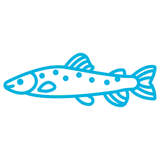 Fischerei-Pächtergemeinschaft Rursee e.V. - Nachhaltige Sportfischerei und Umweltschutz - Symbol