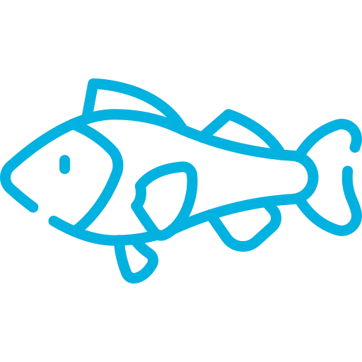 Fischerei-Pächtergemeinschaft Rursee e.V. - Nachhaltige Sportfischerei und Umweltschutz - Symbol