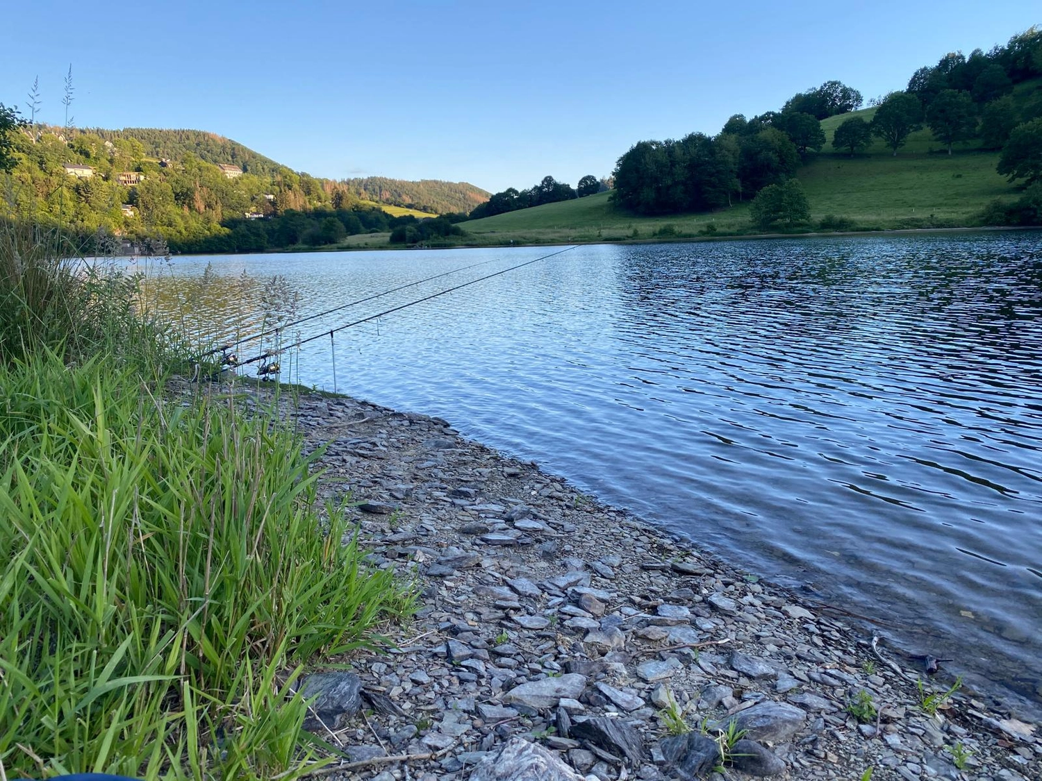 Fischerei-Pächtergemeinschaft Rursee e.V. - Nachhaltige Sportfischerei und Umweltschutz - Ein malerischer Anblick von Angelruten, die in einen ruhigen See geworfen sind, umgeben von grünen Hügeln.