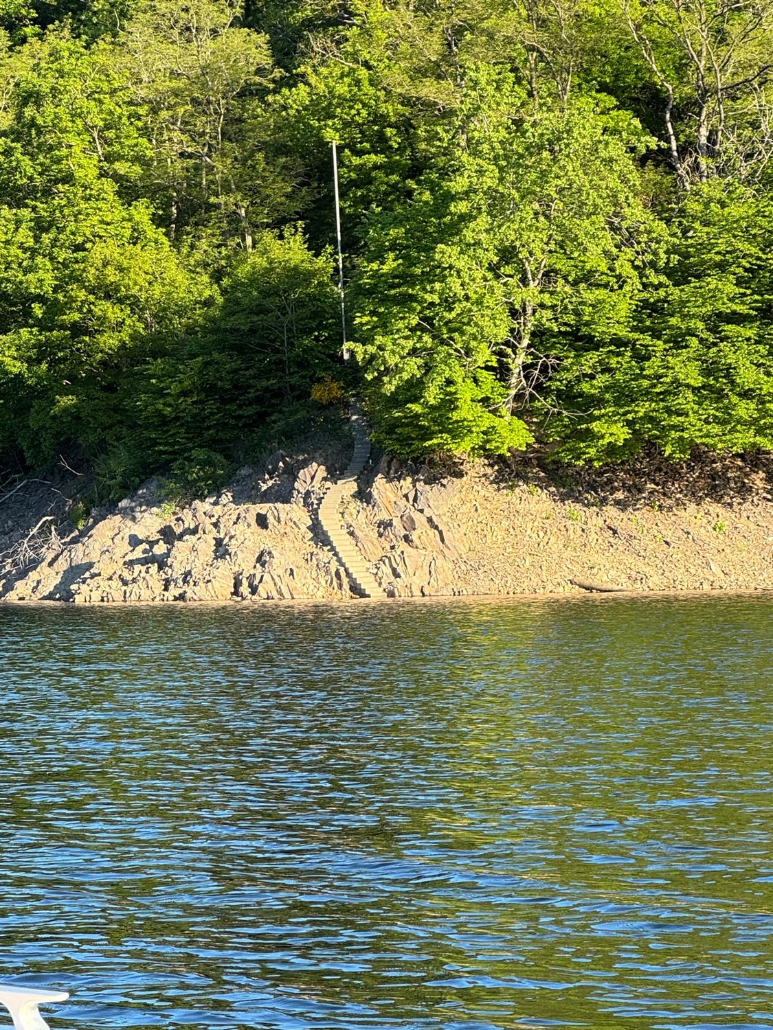 Fischerei-Pächtergemeinschaft Rursee e.V. - Nachhaltige Sportfischerei und Umweltschutz - Vom Wasser aus hat man einen Blick auf eine steile, felsige Küstenlinie, die mit grünen Bäumen bewachsen ist, und auf eine Steintreppe, die in den Wald hinaufführt.