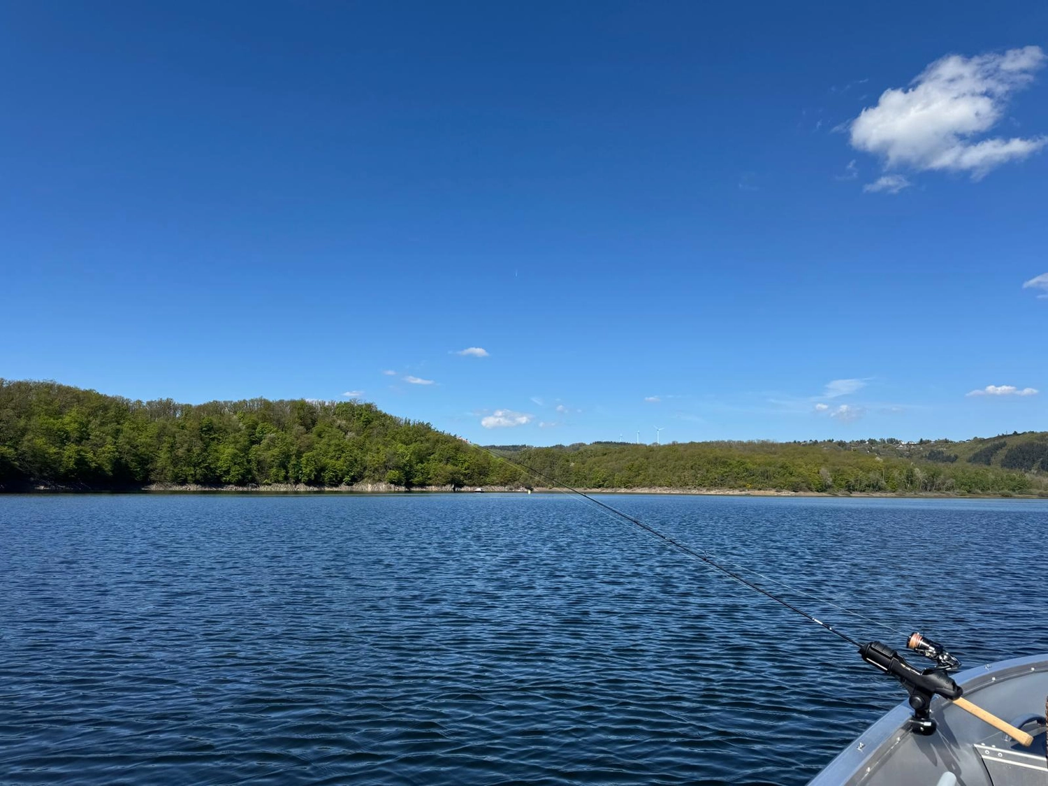 Fischerei-Pächtergemeinschaft Rursee e.V. - Nachhaltige Sportfischerei und Umweltschutz - Eine Weitwinkelaufnahme eines ruhigen, blauen Sees, aufgenommen von einem Boot aus an einem sonnigen Tag unter strahlend blauem Himmel mit wenigen Wolken. Im Bild ist rechts eine Angelrute zu sehen, und am fernen Ufer erstrecken sich dichte grüne Wälder.