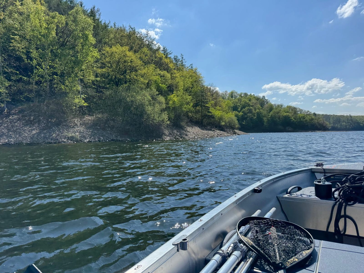 Fischerei-Pächtergemeinschaft Rursee e.V. - Nachhaltige Sportfischerei und Umweltschutz - Ein kleines Boot fährt auf einem großen See entlang eines steilen, bewaldeten Ufers unter einem blauen Himmel mit vereinzelten Wolken.