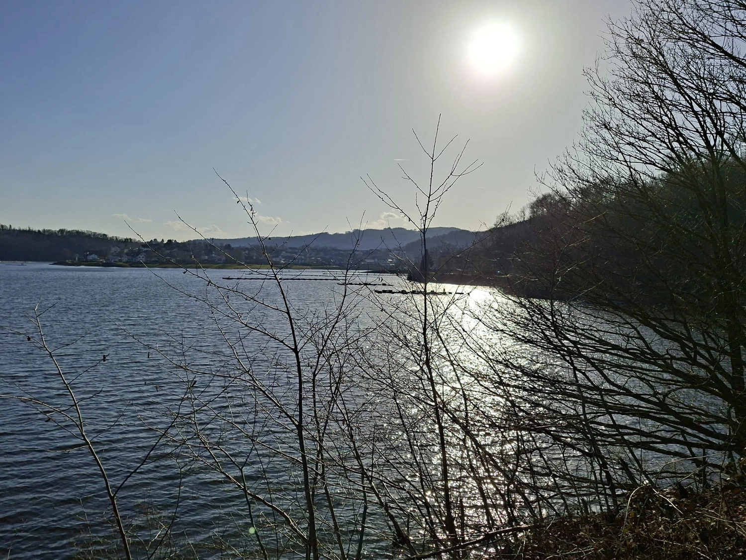 Fischerei-Pächtergemeinschaft Rursee e.V. - Nachhaltige Sportfischerei und Umweltschutz - Strahlender Sonnenschein über einem ruhigen See, im Vordergrund kahle Baumzweige, im Hintergrund sanfte Hügel.