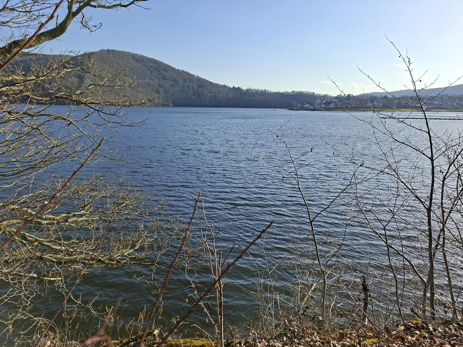 Fischerei-Pächtergemeinschaft Rursee e.V. - Nachhaltige Sportfischerei und Umweltschutz - Ein malerischer Blick auf einen weiten, ruhigen See, im Vordergrund von kahlen Baumzweigen eingerahmt, mit einem bewaldeten Hügel und einer kleinen Stadt am fernen Ufer unter klarem Himmel.