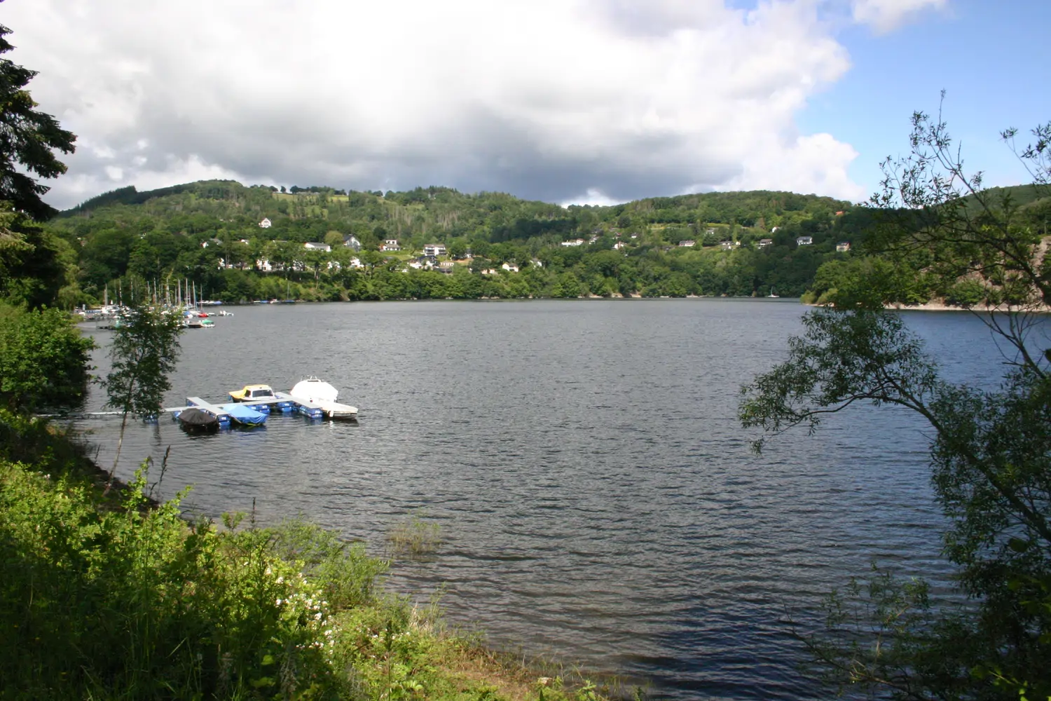 Fischerei-Pächtergemeinschaft Rursee e.V. - Nachhaltige Sportfischerei und Umweltschutz - Ein weiter, malerischer Blick auf einen ruhigen See, umgeben von üppig grünen Hügeln unter einem bewölkten blauen Himmel, mit einem kleinen Bootssteg in Ufernähe.