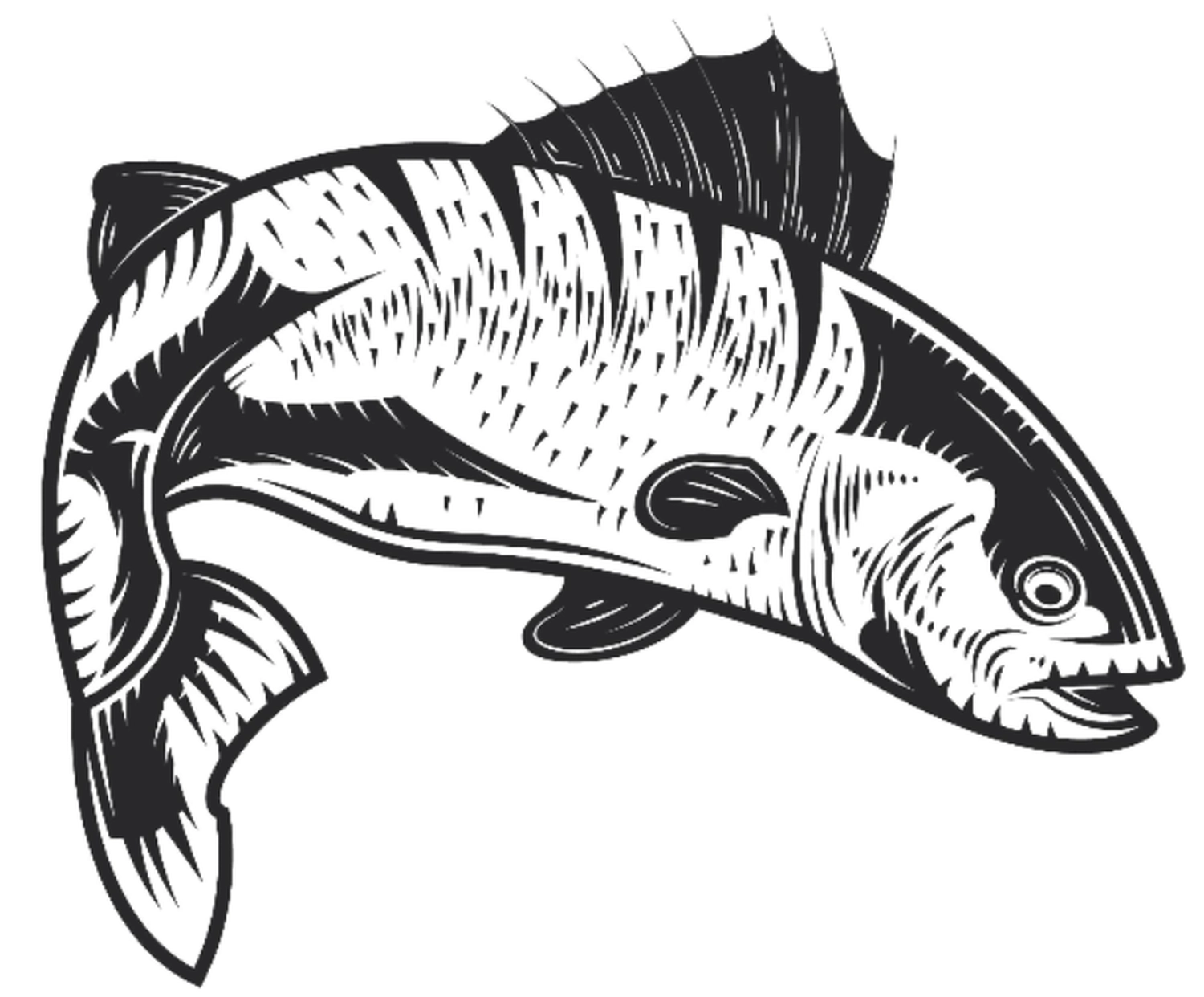 Fischerei-Pächtergemeinschaft Rursee e.V. - Nachhaltige Sportfischerei und Umweltschutz - Symbol